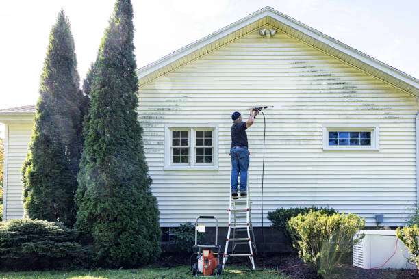 Professional Pressure Washing Services in Dunnellon, FL